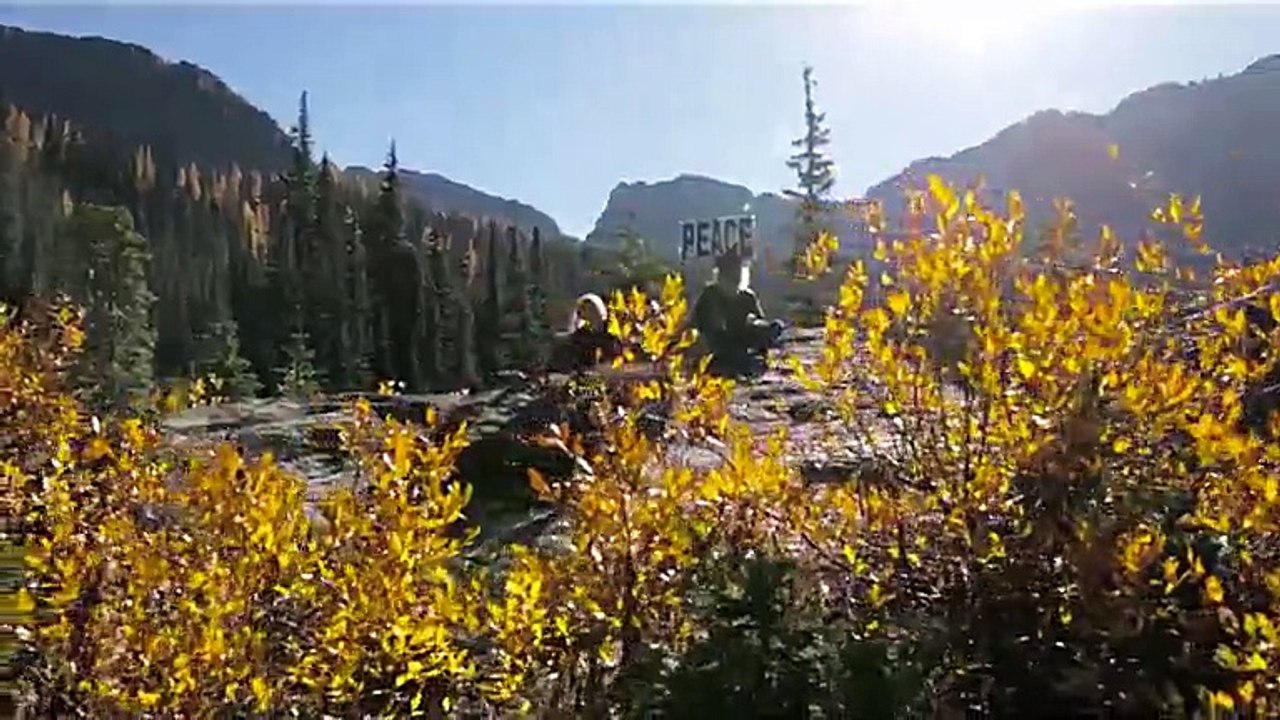 Washington's Ultimate Roadtrip