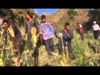 PRODHIMI I OPIUMIT RAPORTI I OKB ZBULON SE U RRIT ME 17 % NE BIRMANI LAJM