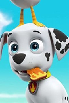 Paw Patrol Academy Game - Paw Patrol Cartoon Nick JR English - Paw Patrol full Episodes - Cartoon Network Movies 2015._1