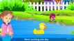 Five Little Ducks Nursery Rhymes | Cartoon Rhymes For Kids And Toddlers | Rhymes HD Animat