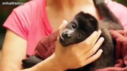 Funny Cute Baby Animals Yawning Compilation 2014 [NEW]