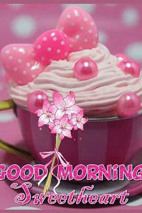 cat Good morning video