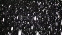 Many Fluffy Snowflakes Falling From Night Sky | Stock Footage - Videohive