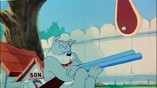 Tom-and-Jerry-44-Episode---Love-That-Pup-1949