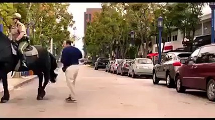 Horse knocks down the man teasing it