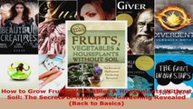 Read  How to Grow Fruits Vegetables  Houseplants Without Soil The Secrets of Hydroponic Ebook Free