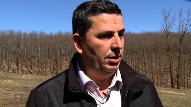 Fisi Faunes - Sezoni 3 / Episodi 3