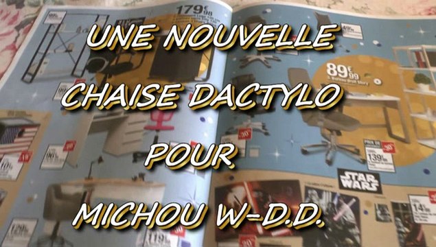 LES W-D.D. MICHOU NEWS - 30 NOVEMBRE 2015 - PAU - UNE NOUVELLE CHAISE DACTYLO POUR MICHOU W-D.D..