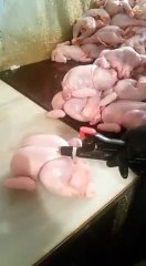 Thoughts on this Chicken Procedure