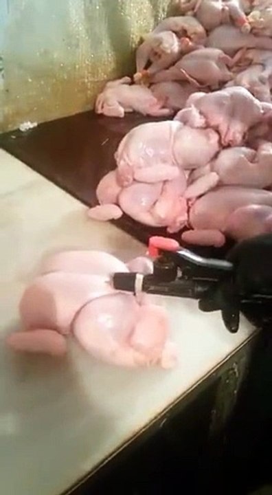 Thoughts on this Chicken Procedure