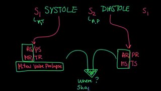 Systolic murmurs, diastolic murmurs, and extra heart sounds - Part 2