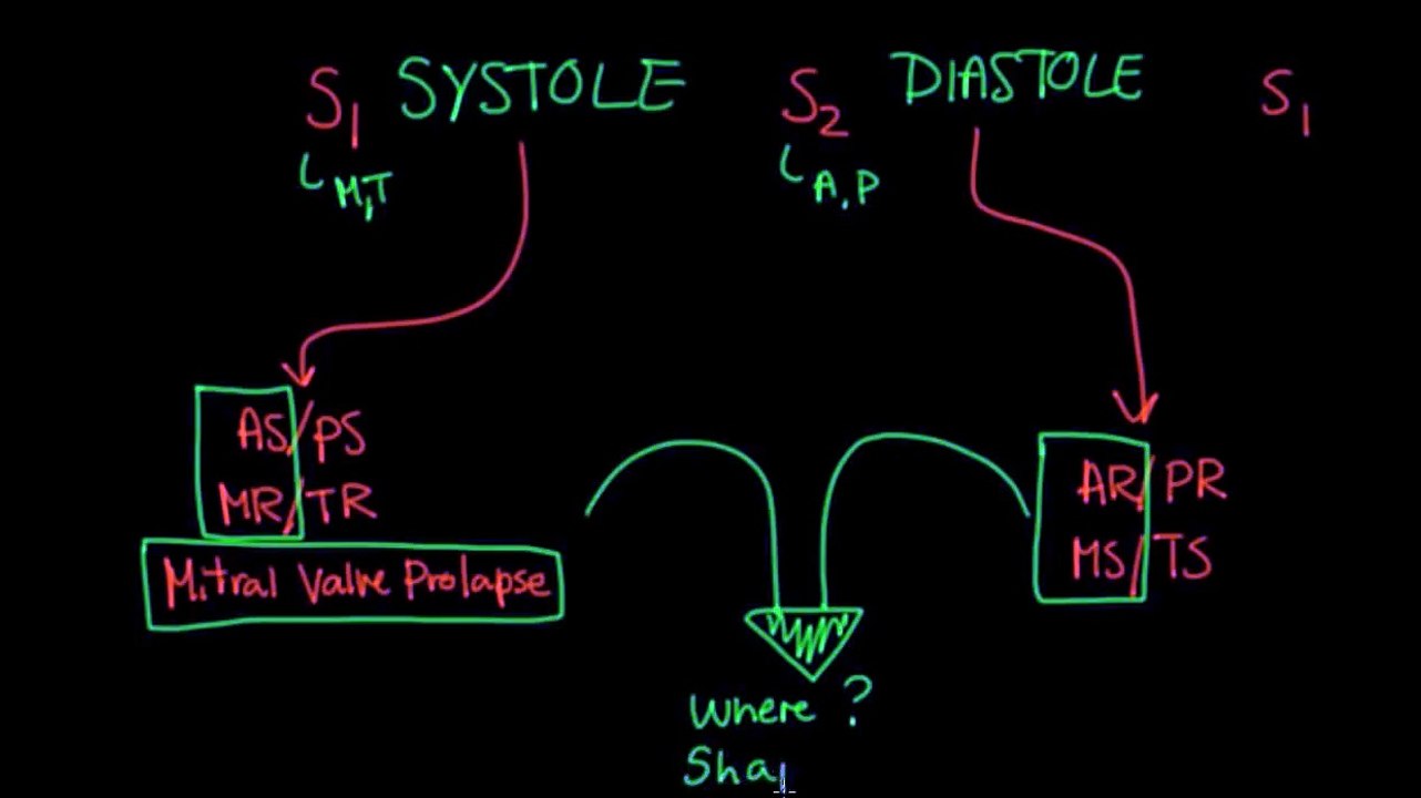 Systolic murmurs, diastolic murmurs, and extra heart sounds - Part 2