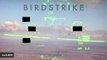 Aircraft Camera Catches Dramatic Bird Strike