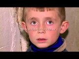Jetesë “nën” gështenja - Top Channel Albania - News - Lajme