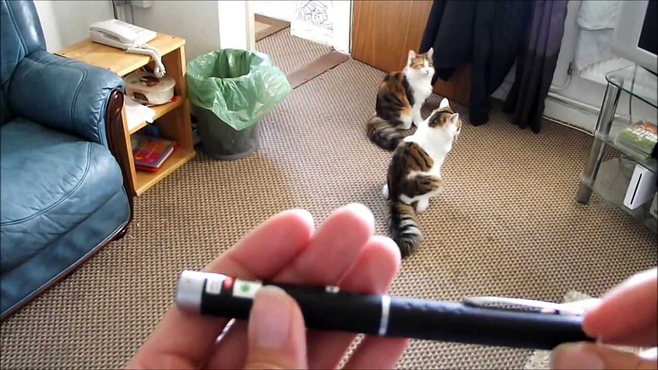 Product review of 1mW Military Grade Green Beam Laser Pointer Pen