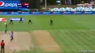 Amazing Mccullum - Must Watch