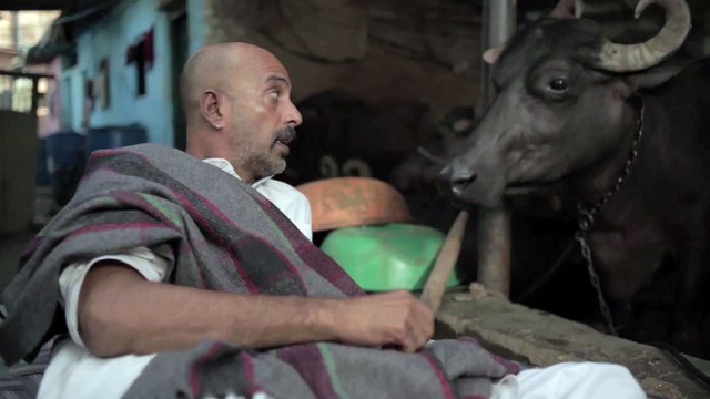Insuring India Video - Akal Bdi Ya Bhains