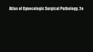 Read Atlas of Gynecologic Surgical Pathology 2e Ebook Free