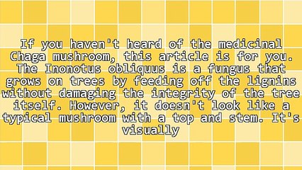 Superfood: Chaga Mushroom