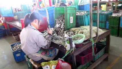 Herrajes para Muebles de Cocina - China: Bisagra de Cazoleta Push Open / Production 5