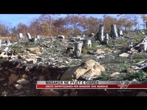 Masaker ne pyjet e Dibres - News, Lajme - Vizion Plus
