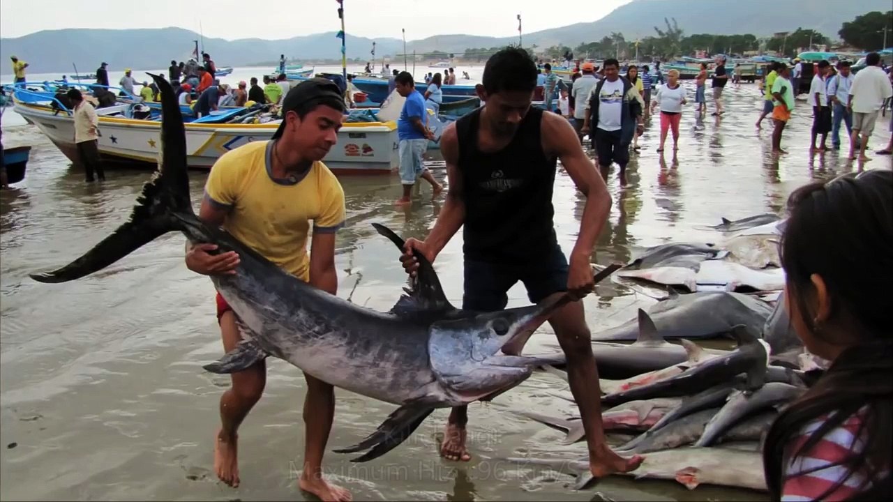 İnanılmaz Hızlı 10 Hayvan