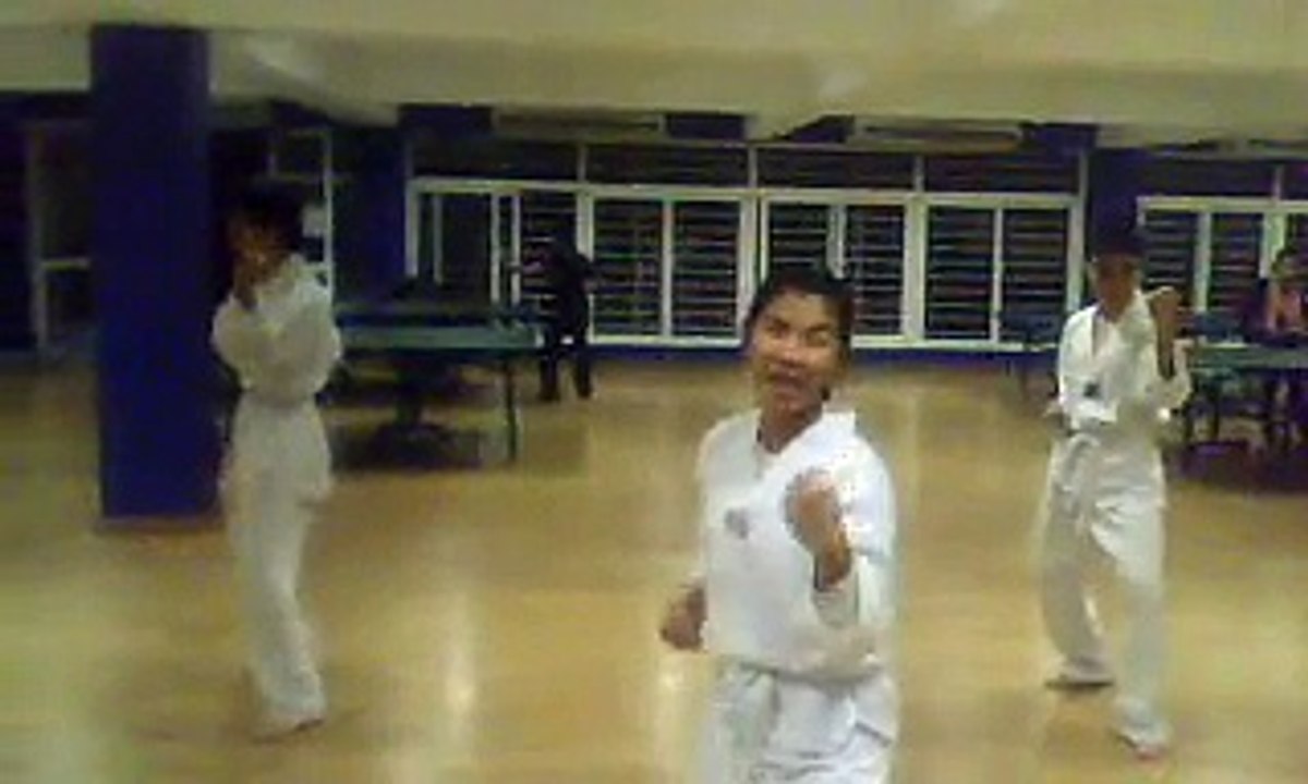 CLB Taekwondo ĐH Thăng Long thu 5 28-1-2010 thi RECORD022