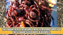 Would You Eat It? 10 Weird Foods We Dare You To Try