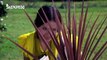 Pal Pal Dil Ke Paas Tum Rehti Ho -  Black mail -Kishore Kumar - Full Video Song
