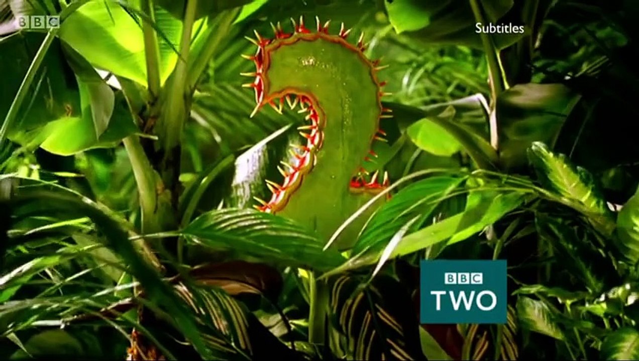 Autumnwatch Season 10 Episode 1 – 2015 (S10E1)