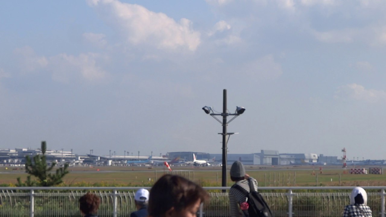 成田さくらの山