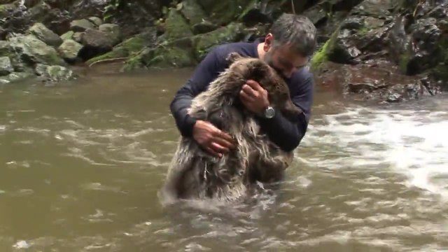Un homme joue et fait des câlins à un ours brun sauvage