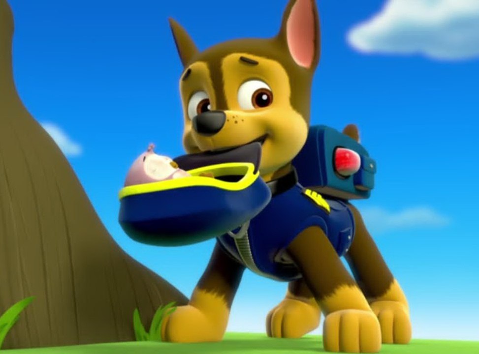Paw Patrol Academy Game - Paw Patrol Cartoon Nick JR English - Paw Patrol full Episodes