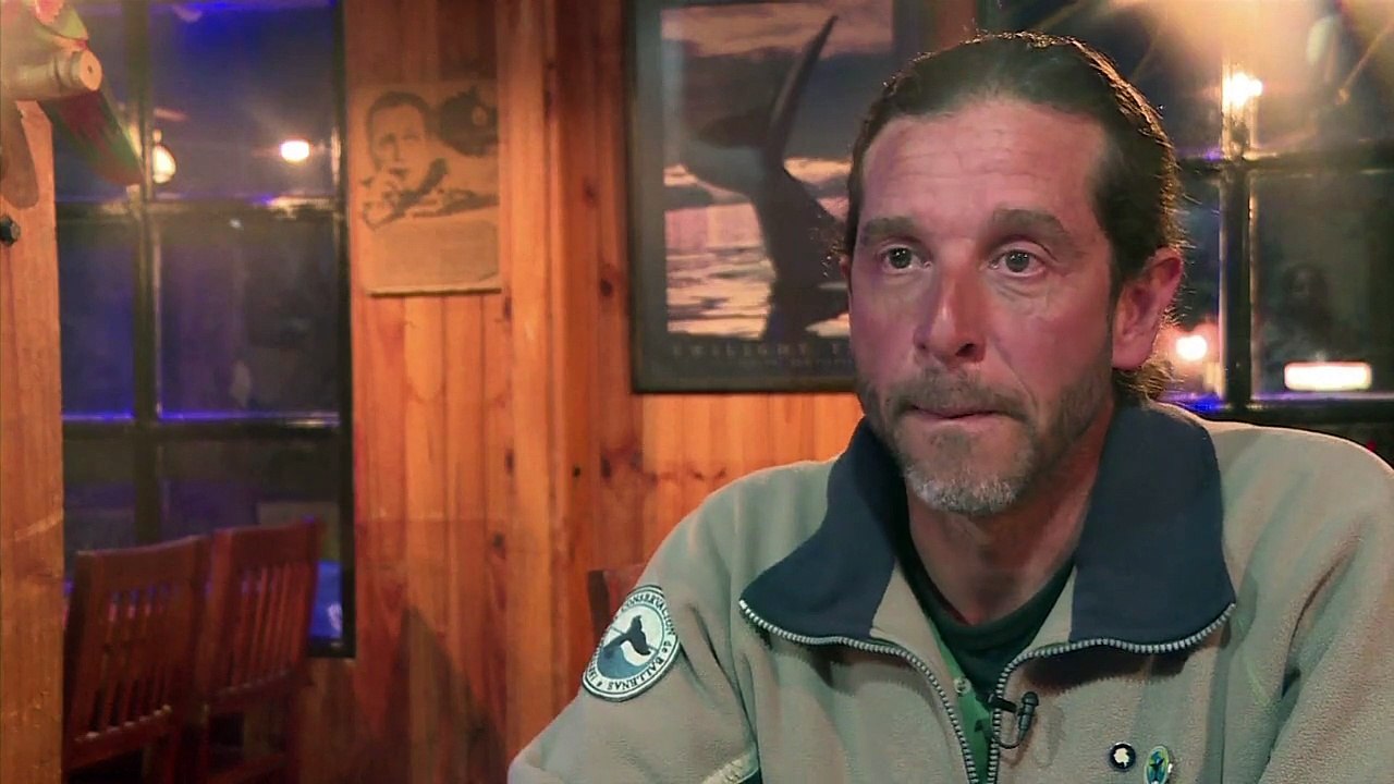 Les baleines australes menacées par le réchauffement des eaux