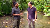 Cash for biodiversity in Costa Rica | Environment