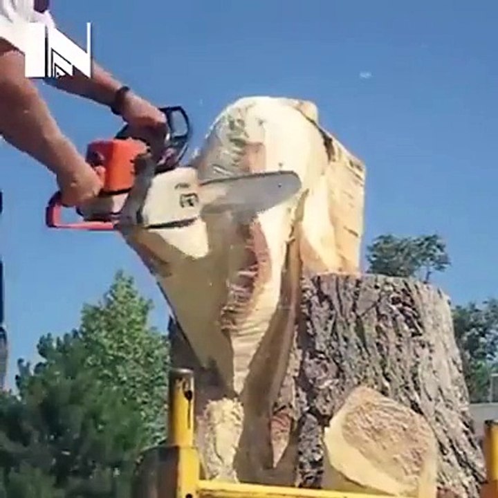 new funy video