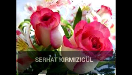 Serhat Kırmızıgül son söz