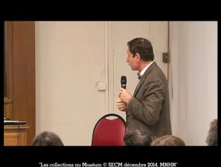 01-état des lieux des collections naturalistes