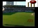 Awesome Cricket Catches - Great One Handed Catch On Boundary Line