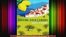 Driving Over Lemons An Optimist in Andalucia