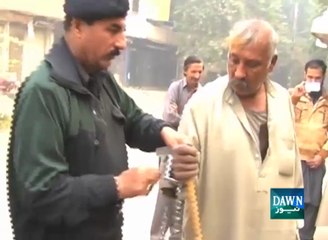 Footage of Bear in cant Court