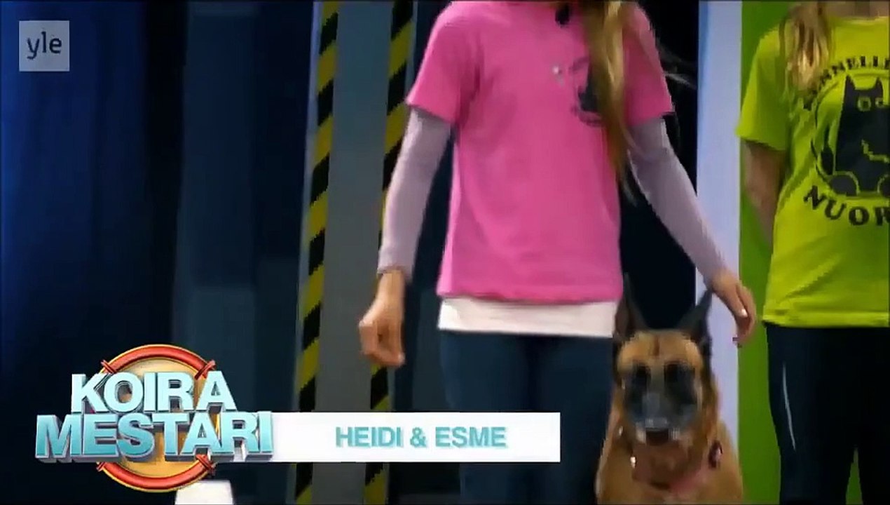 Hilarious Golden Retriever Really Wants To Race But. First Things First 1