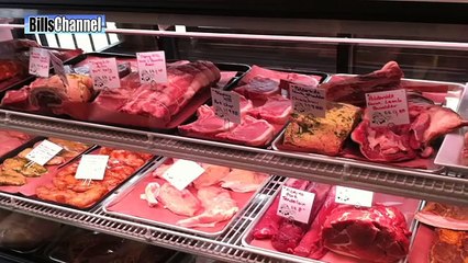 WORLD'S MOST BIZARRE COWS