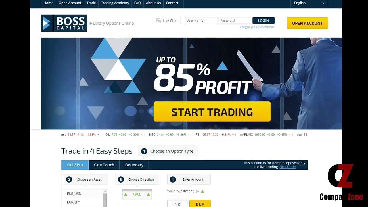 Boss Capital Review