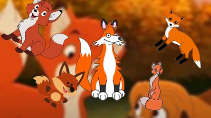 Finger Family Fox Finger Family Songs Animals Finger Family Rhymes for Children