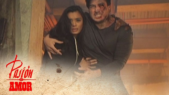 Pasion de Amor: Loyal Heart