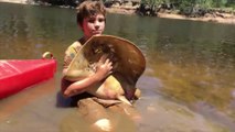 Cet enfant aide une raie à accoucher... 12 bébés raies d'eau douce! Magique...