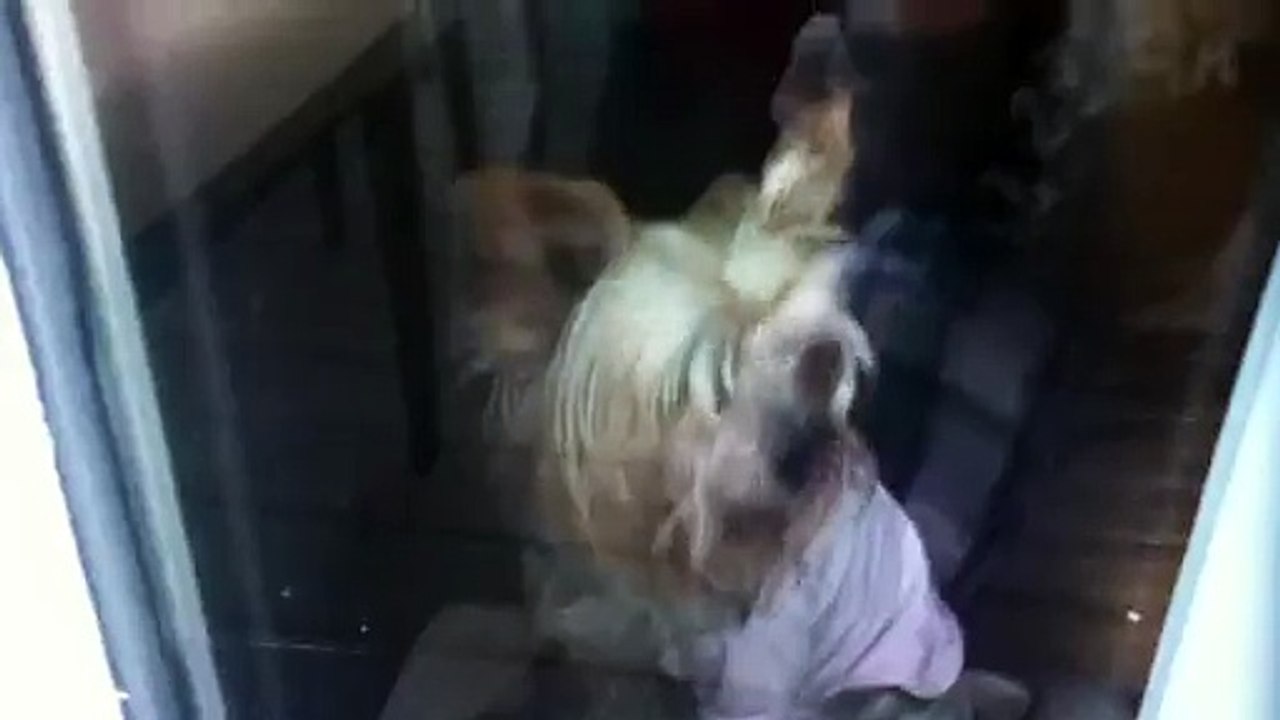 z57 presents Lea Ready, Set, Go!