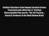 Cellular Structure of the Human Cerebral Cortex: Translated and edited by L.C. Triarhou (Thessaloniki)