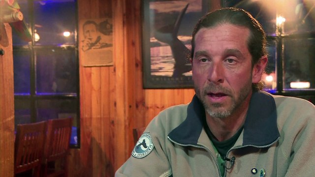 Les baleines australes menacées par le réchauffement des eaux